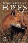 Living On the Edge: Foxes