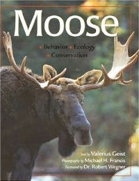 Moose: Behavior, Ecology, Conservation