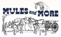 Mules and More Magazine