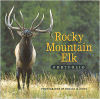 Rocky Mountain Elk Portfolio