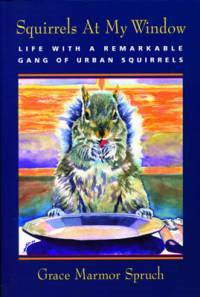 Squirrels at My Window: Life With a Remarkable Gang of Urban Squirrel