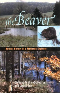 The Beaver