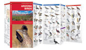 Arizona Birds: A Folding Pocket Guide to Familiar Species