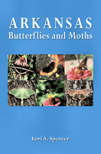 Arkansas Butterflies and Moths