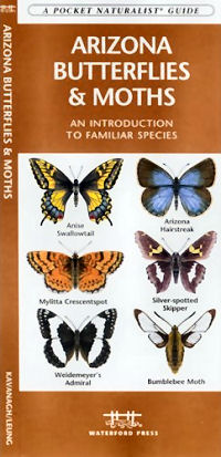 Arizona Butterflies & Moths: An introduction to 72 familiar species