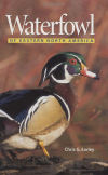 Waterfowl of Eastern North America