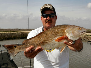 Texas state saltwater fish