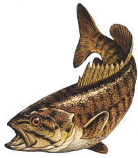 Tennessee State Sport Fish