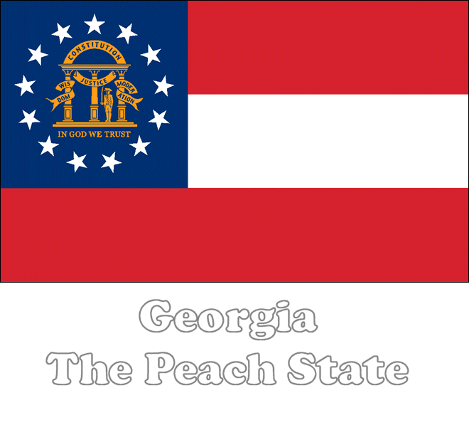 Georgia state flag