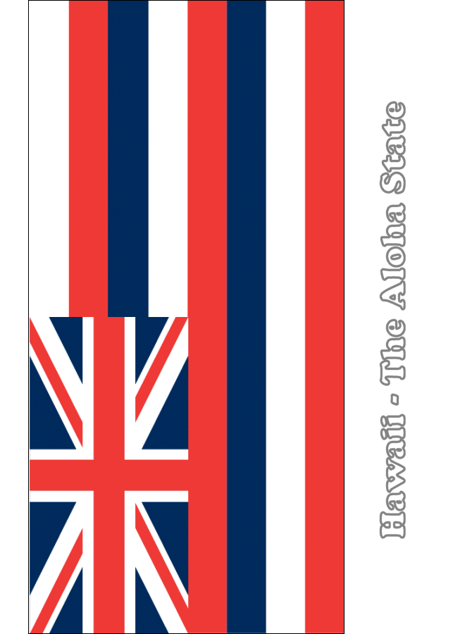 Hawaii state flag