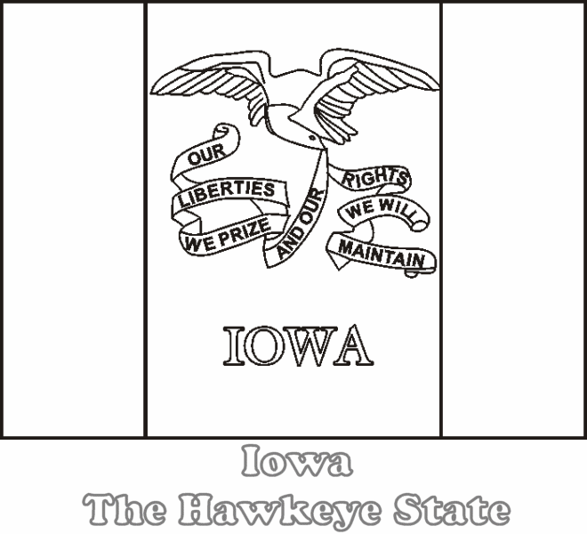Iowa state flag