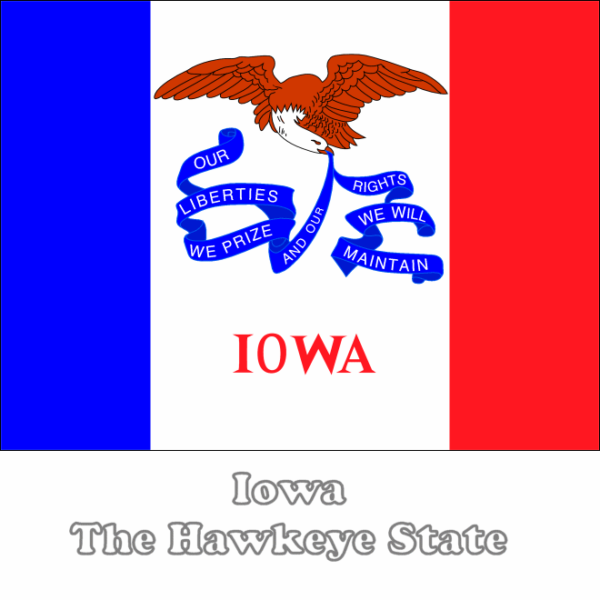 Iowa state flag