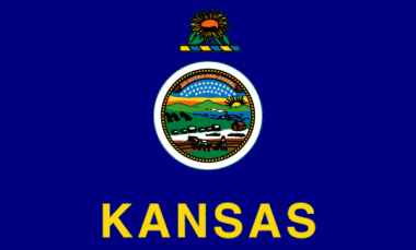 Kansas state flag