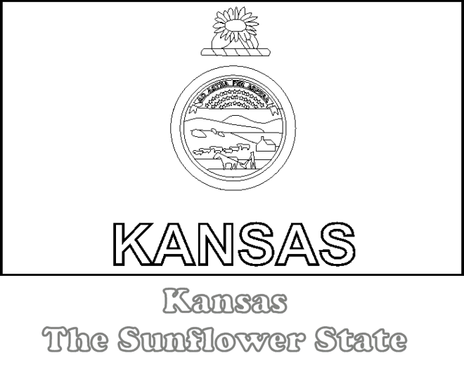 Kansas state flag