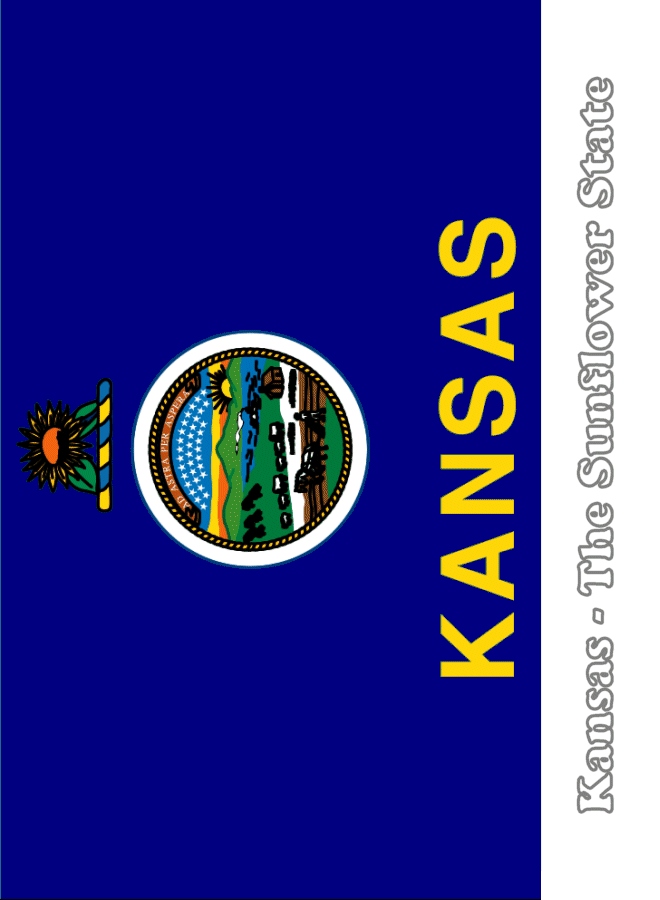 Kansas state flag