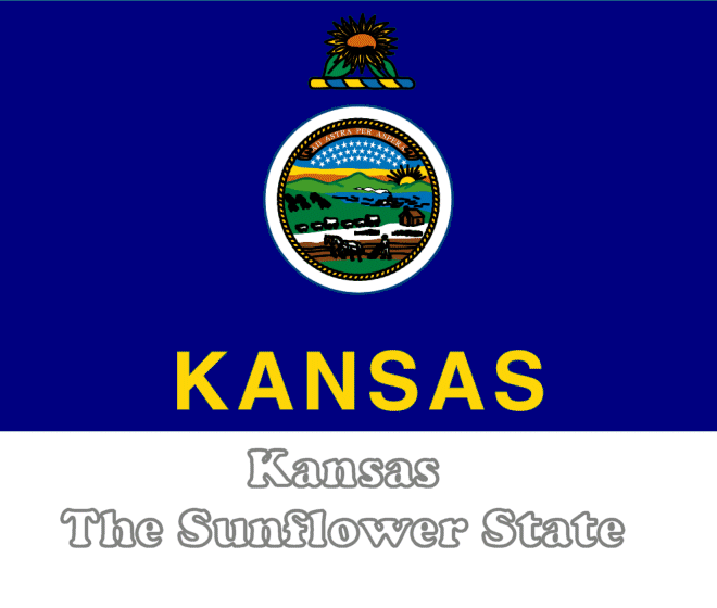 Kansas state flag