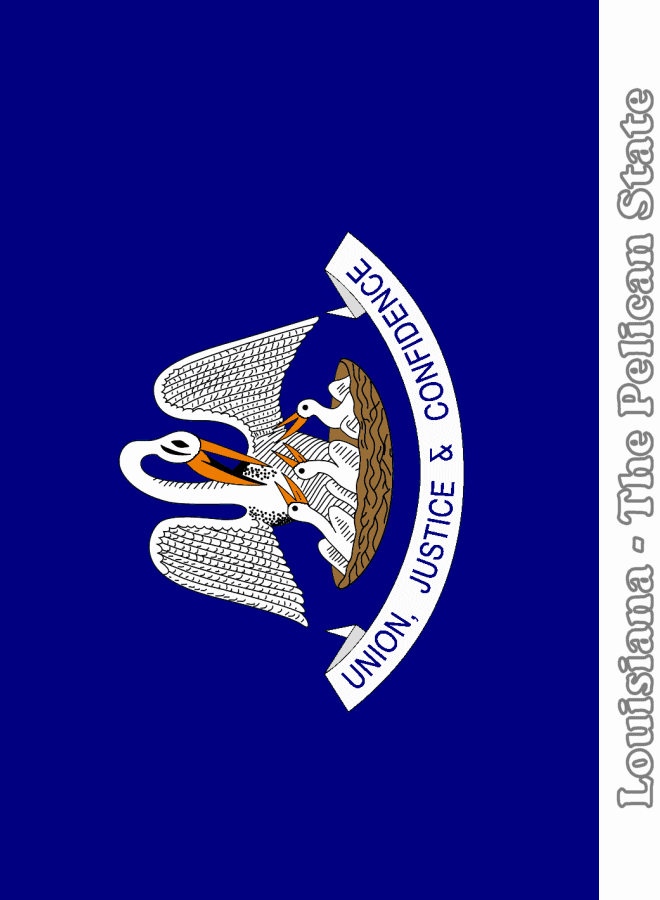 Large, Vertical, Printable Louisiana State Flag, from