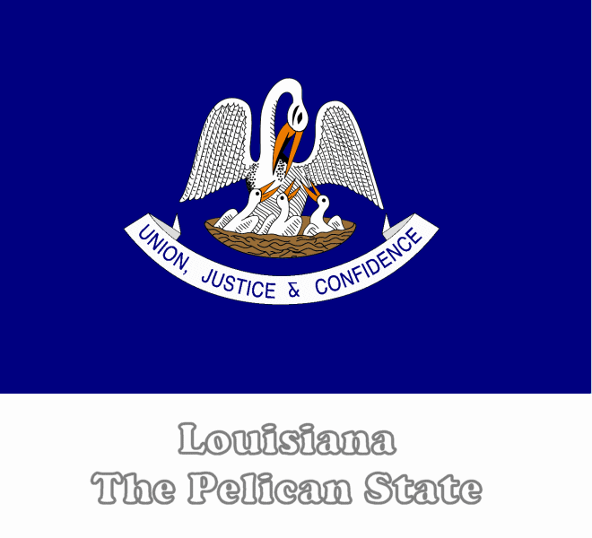 Large, Horizontal, Printable Louisiana State Flag, from