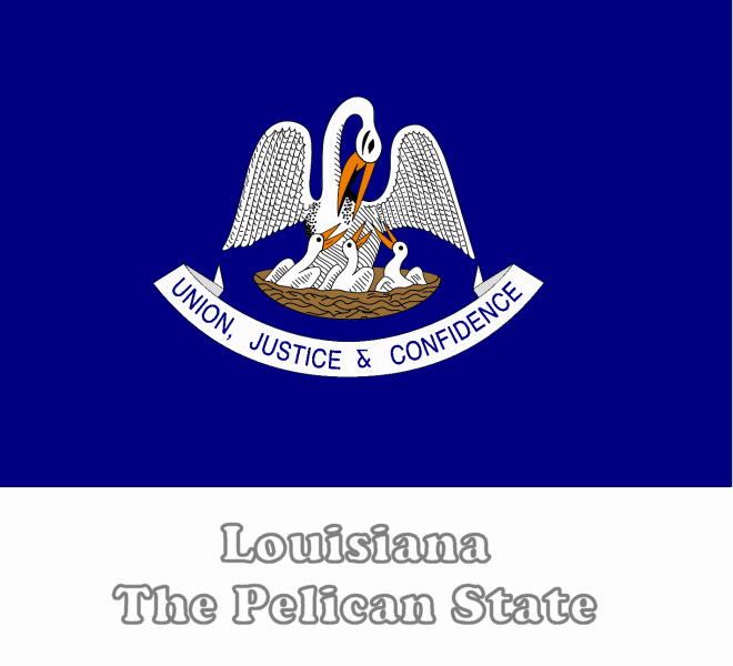 Louisiana state flag