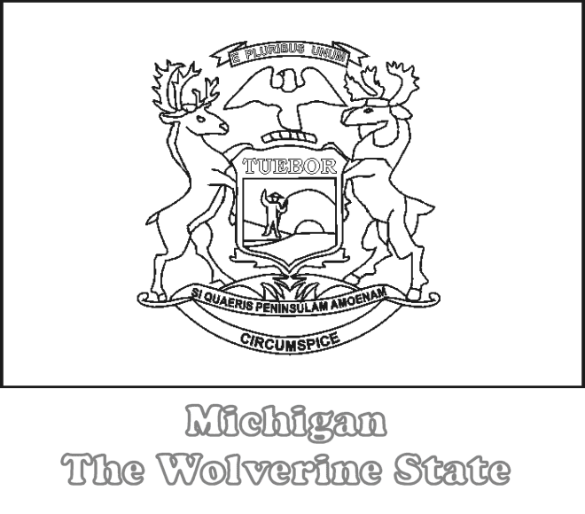 Michigan state flag