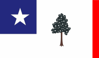 Mississippi Magnolia flag