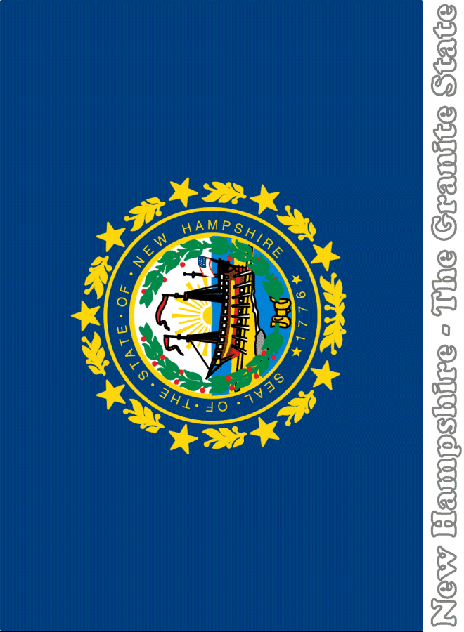 New Hampshire state flag