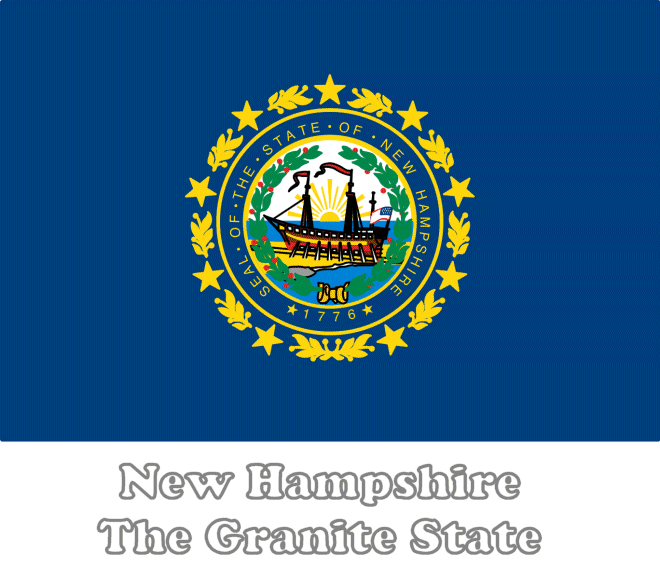 New Hampshire state flag