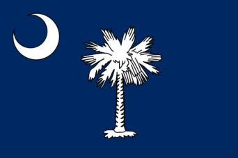 South Carolina state flag