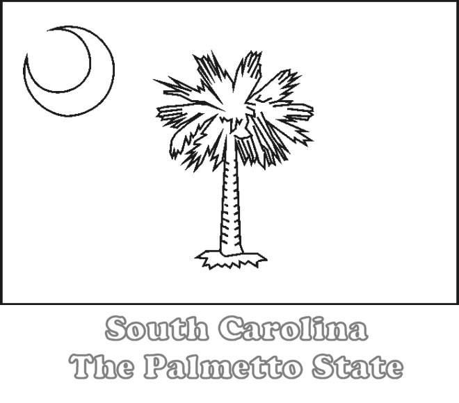 South Carolina state flag