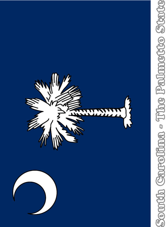 South Carolina state flag