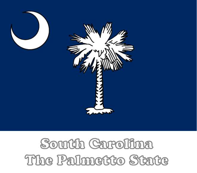 South Carolina state flag