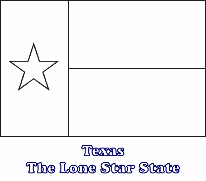 Texas state flag