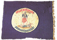 28th Virginia Infantry Flag
