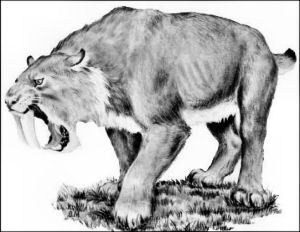 saber-toothed cat