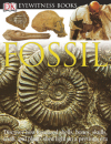 Fossil (DK Eyewitness Books)