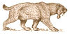 Saber-toothed cat