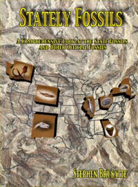 Stately Fossils: A Comprehensive Look at the Stat Fossils and Other Official Fossils