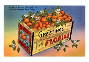 Florida state fruit