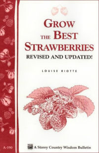 Grow the Best Strawberries