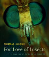 For Love of Insects