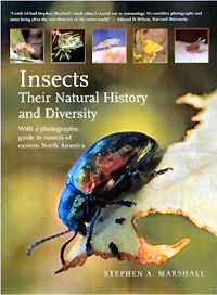 Insects: Their Natural History and Diversity