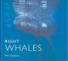 Right Whales