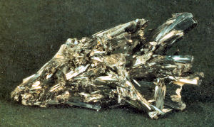 Texas state precious metal