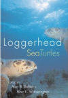 Loggerhead Sea Turtles