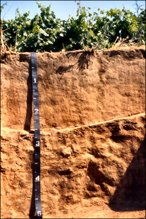 California State Soil Series