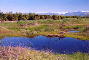 San Joaquin Soil Landscape