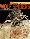 Wolf Spiders: Mothers on Guard