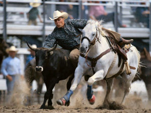 Texas state sport