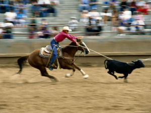 Texas state sport