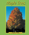 Maple Trees